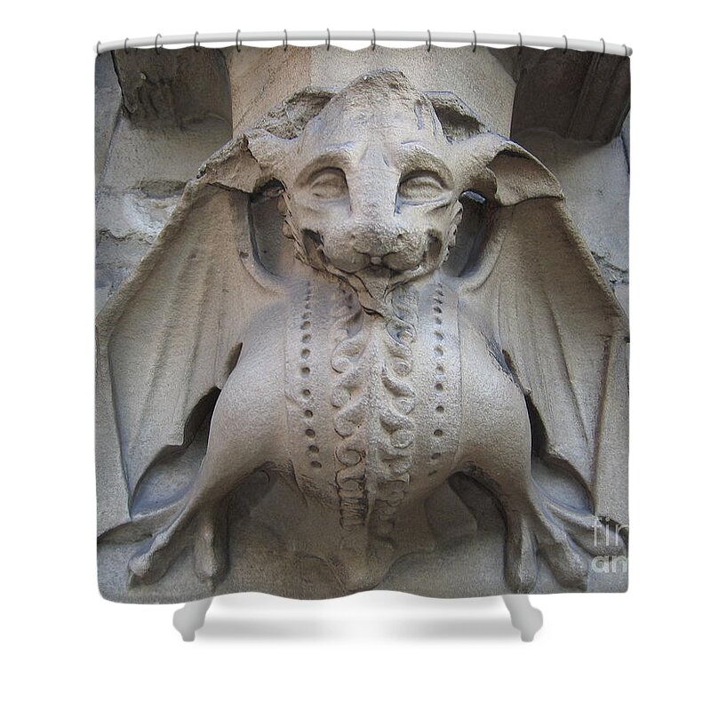 Gargoyle Shower Curtain featuring the photograph Gargoyle On Westminster Palace by Denise Railey