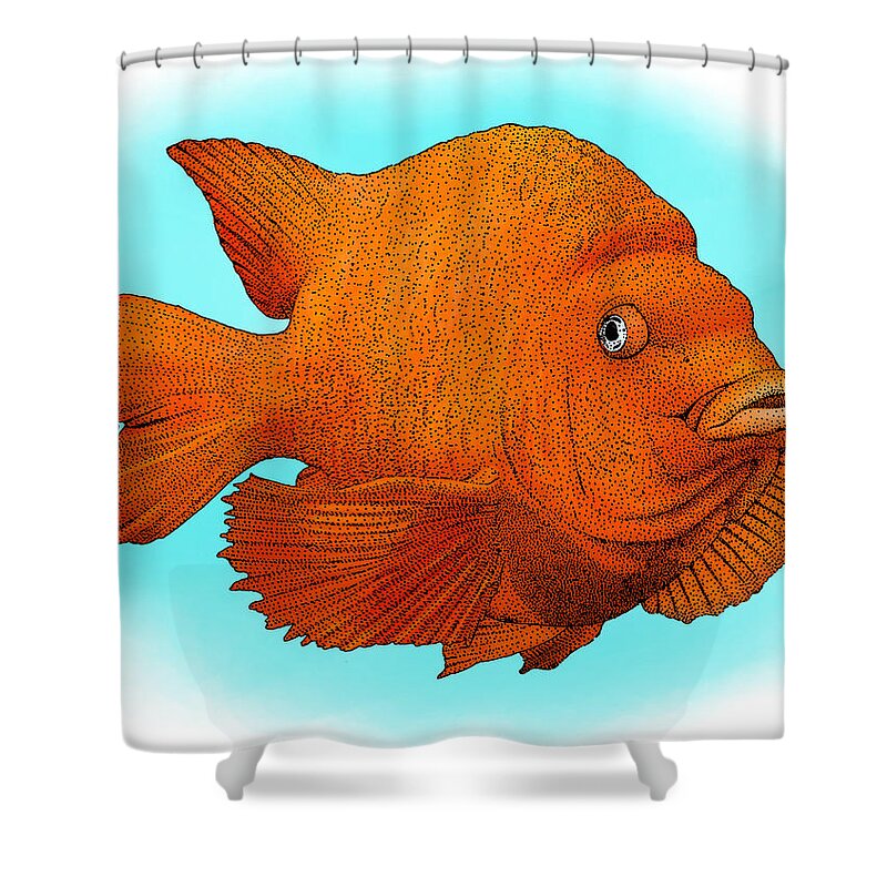 Garibaldi Fish Shower Curtain featuring the photograph Garibaldi Fish by Roger Hall