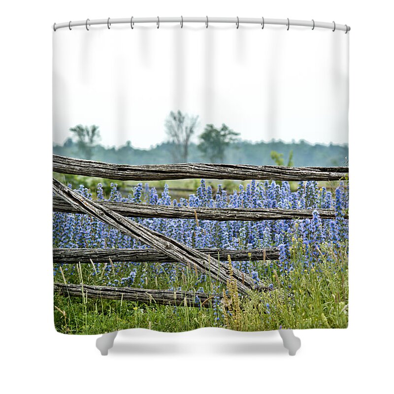 Wild Flowers Shower Curtain featuring the photograph Gate to Blue by Cheryl Baxter