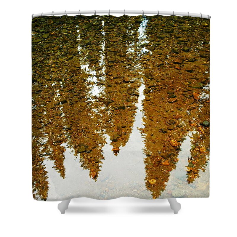 Trees Shower Curtain featuring the photograph Gathered For Reflection by Jeff Swan