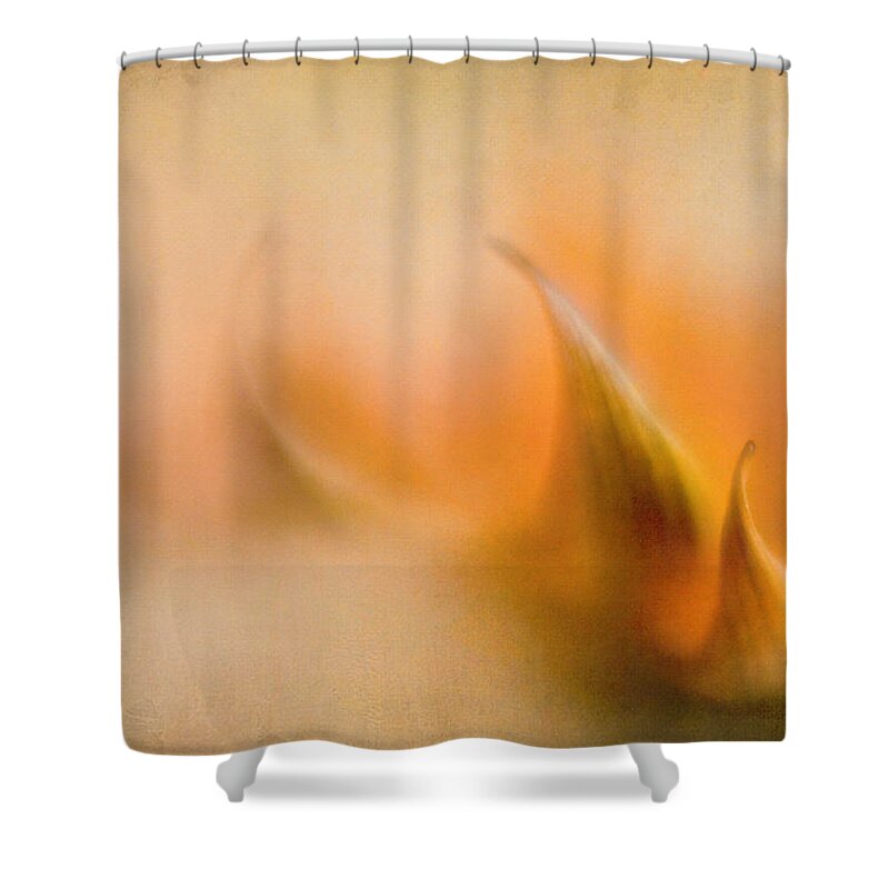 Abstract Shower Curtain featuring the photograph Gazania Abstract VI by David and Carol Kelly