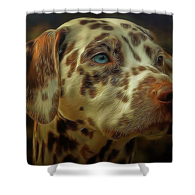Sunset Shower Curtain featuring the digital art Gazing into the Sunset by Sarah Sever