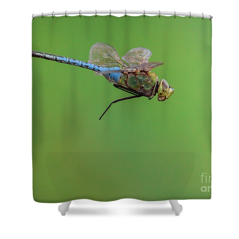 Dragonfly Shower Curtain featuring the photograph Gear Malfunction by Robert Frederick