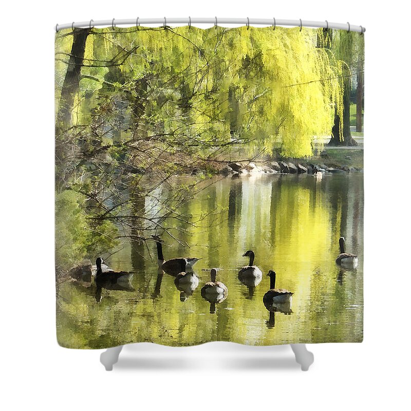 Goose Shower Curtain featuring the photograph Geese by Willow by Susan Savad