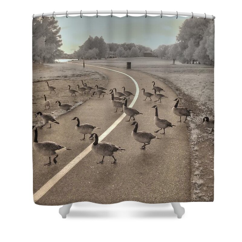 Goose Shower Curtain featuring the photograph Geese Crossing by Jane Linders
