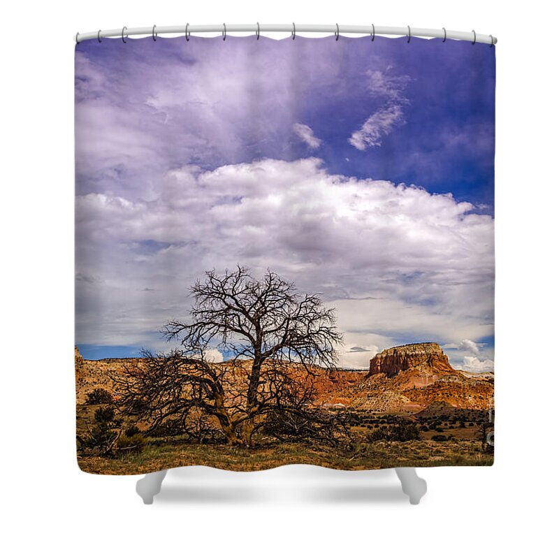 Ghost Ranch Shower Curtain featuring the photograph Georgia O'Keefe's Tree Caught Between Kitchen and Matrimonial Mesa - Ghost Ranch Abiquiu New Mexico by Silvio Ligutti