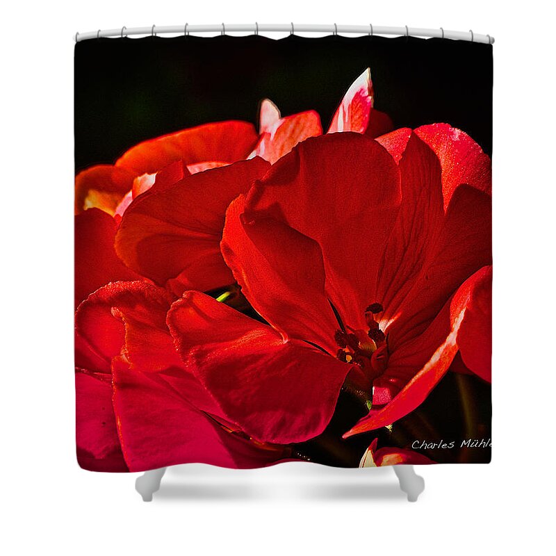  Flower Shower Curtain featuring the photograph Geranium  by Charles Muhle