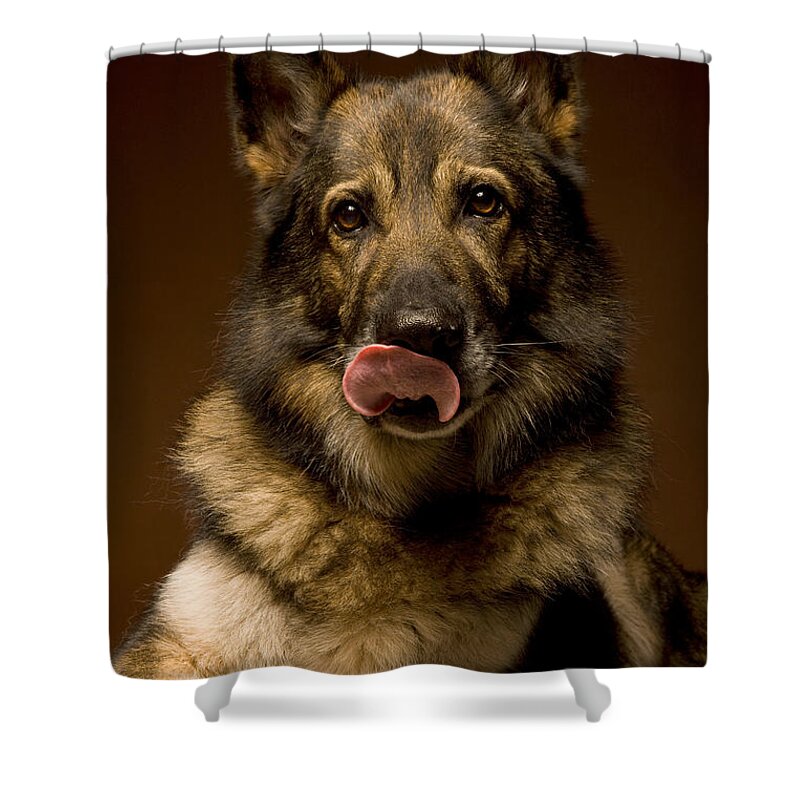 German Shepherd Shower Curtain featuring the photograph German Shepherd Dog by Wolfgang Herath
