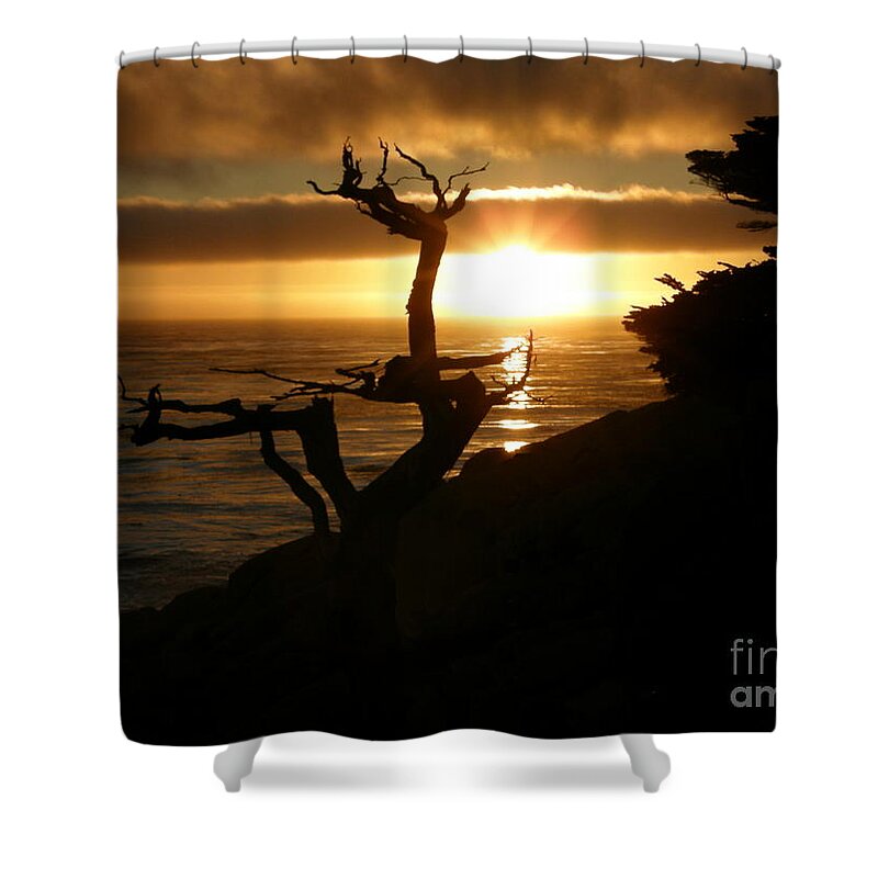 Ghost Tree Shower Curtain featuring the photograph Ghost Tree at Sunset by Bev Conover