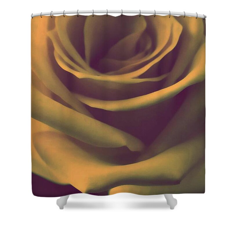 Abstract Shower Curtain featuring the photograph Gift of Gold by The Art Of Marilyn Ridoutt-Greene