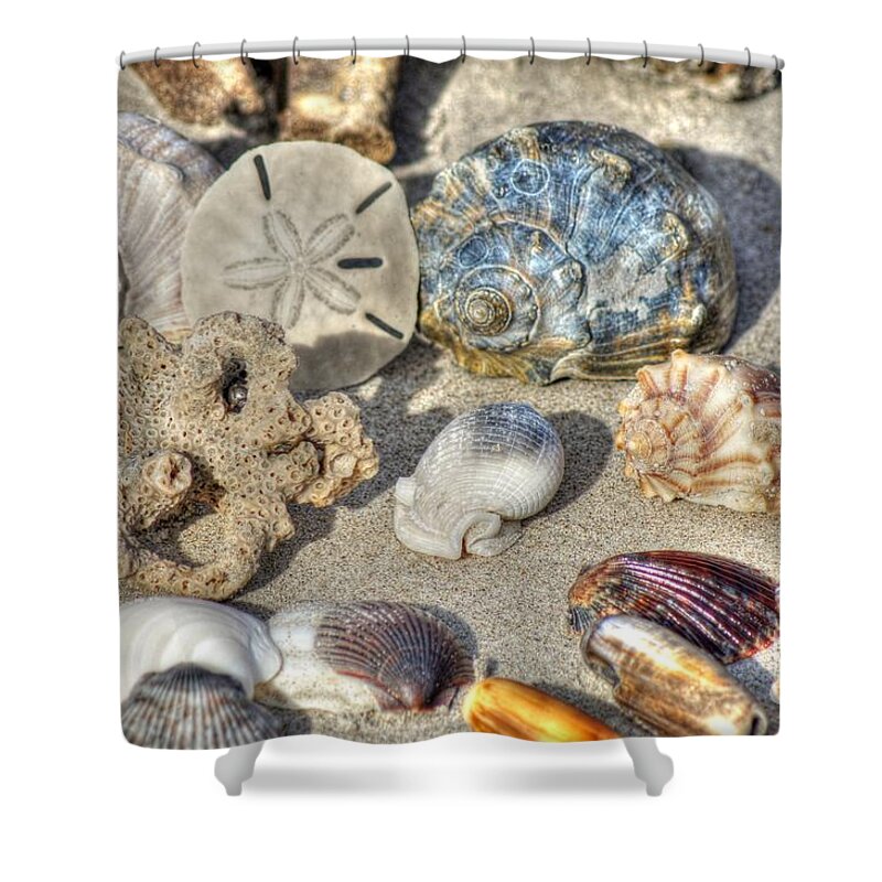 Seashells Shower Curtain featuring the photograph Gifts of the Tides by Benanne Stiens