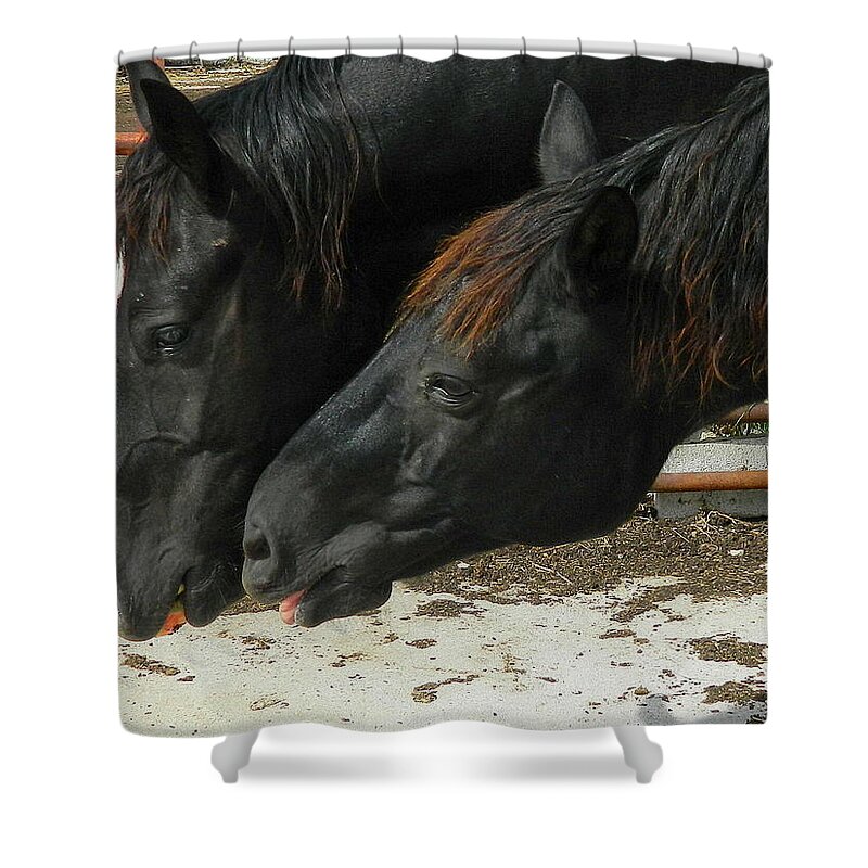 Horse Shower Curtain featuring the photograph Gimme that Apple by Kathy Barney