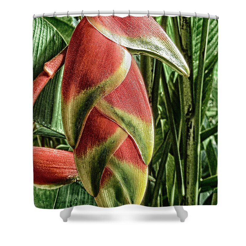 Ginger Shower Curtain featuring the photograph Ginger by Mary Lane