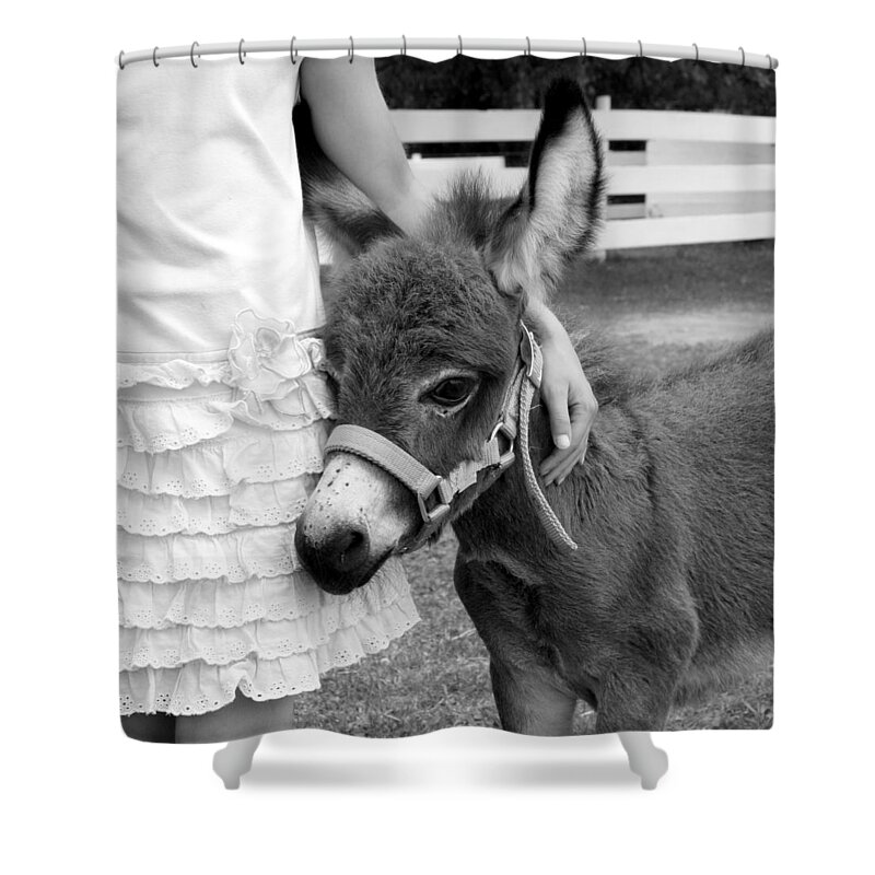 Donkey Shower Curtain featuring the photograph Girl and Baby Donkey by Brooke T Ryan