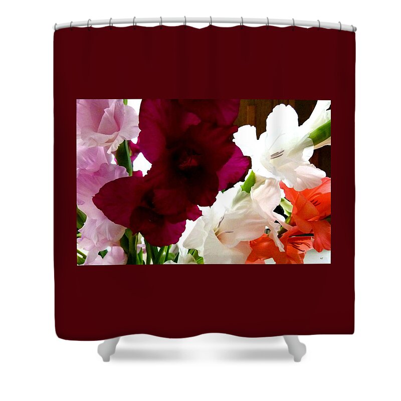 Glad Time Shower Curtain featuring the photograph Glad Time by Will Borden
