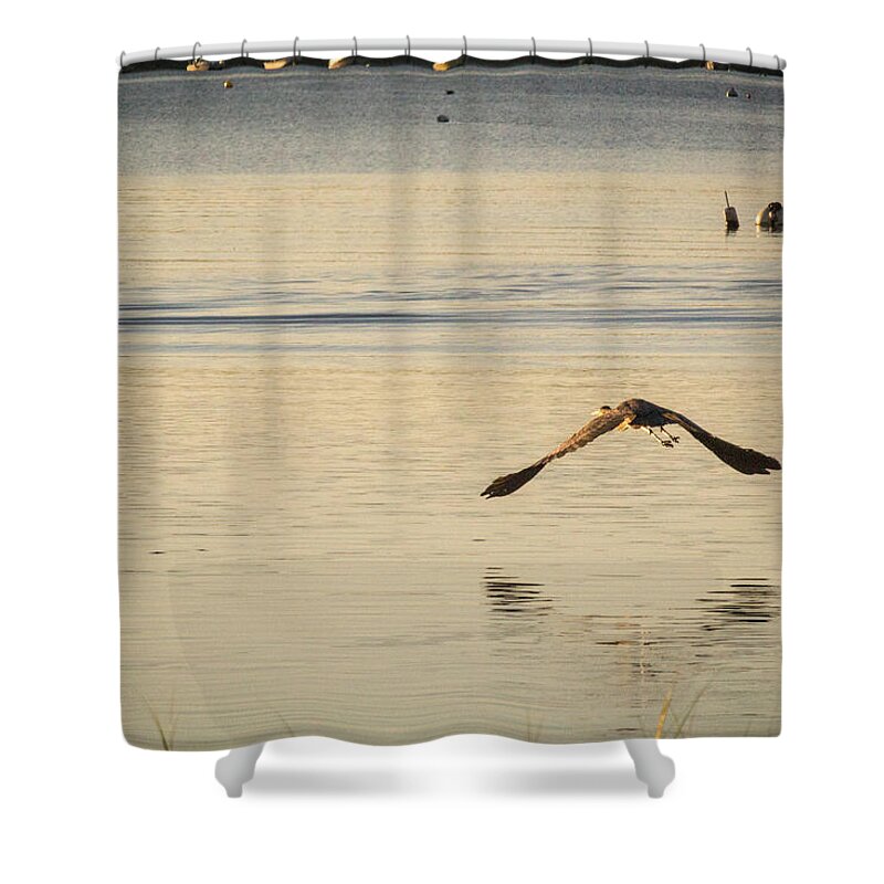 Orleans Shower Curtain featuring the photograph Gliding by Beverly Tabet