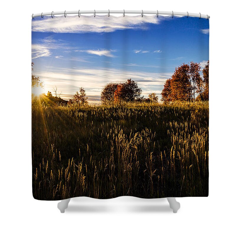 Nature Shower Curtain featuring the photograph Glisten by Chad Dutson