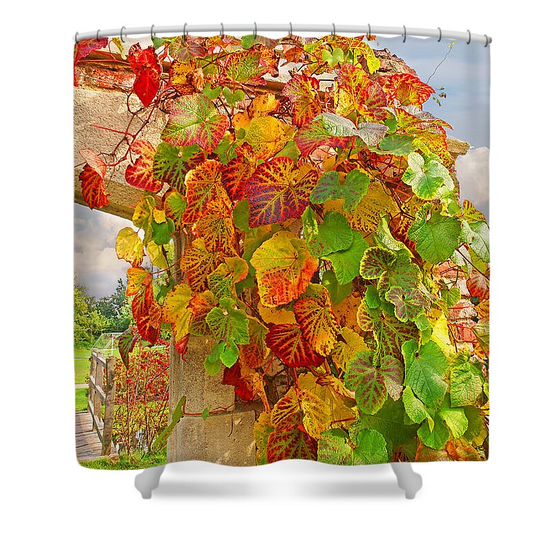 Autumn Leaves Shower Curtain featuring the photograph Glorious Autumn Leaves by Gill Billington