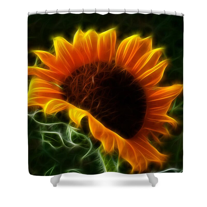 Sunflower Shower Curtain featuring the photograph Glowing Sunflower by Shane Bechler