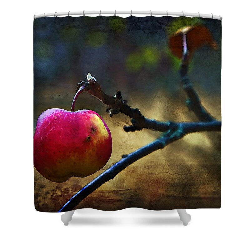 Apple Shower Curtain featuring the photograph Go On Dearie Take A Bite by Theresa Tahara