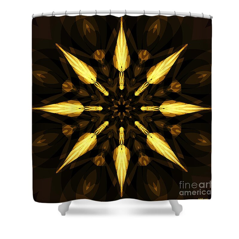 Fractal Art Shower Curtain featuring the digital art Golden Arrows by Elizabeth McTaggart