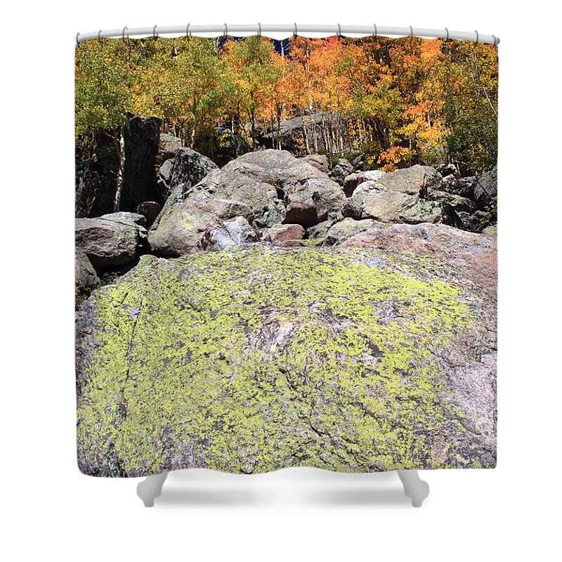 America Shower Curtain featuring the photograph Golden Autumn with Boulder by Karen Lee Ensley