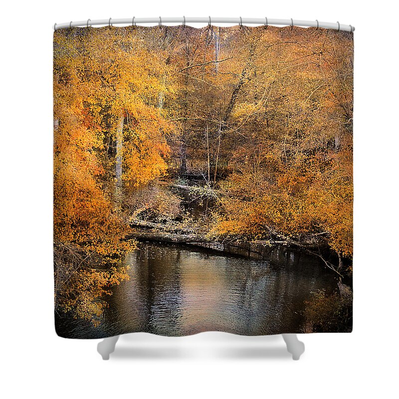 Autumn Shower Curtain featuring the photograph Golden Blessings by Jai Johnson