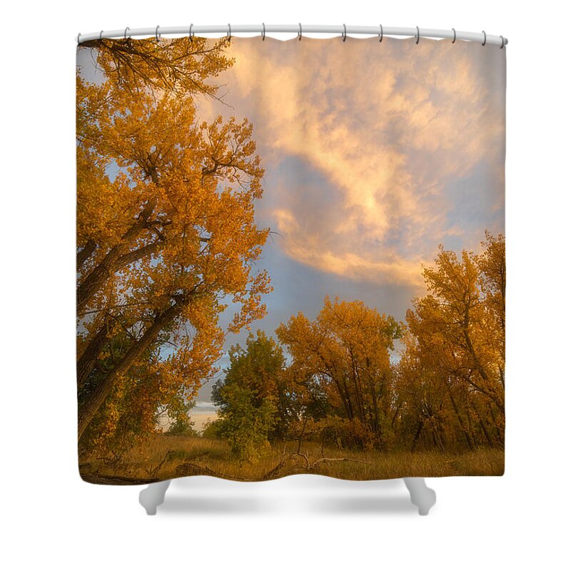 Autumn Shower Curtain featuring the photograph Golden Chatfield by Darren White
