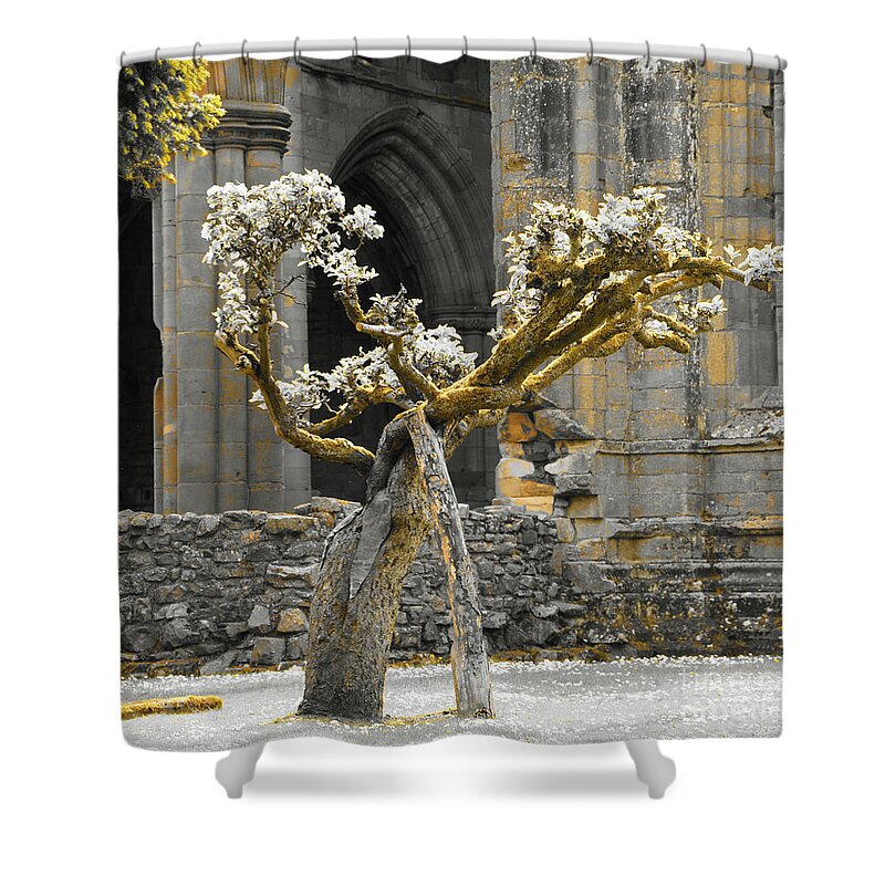 Alone Tree Shower Curtain featuring the photograph Golden elderly by Elena Perelman