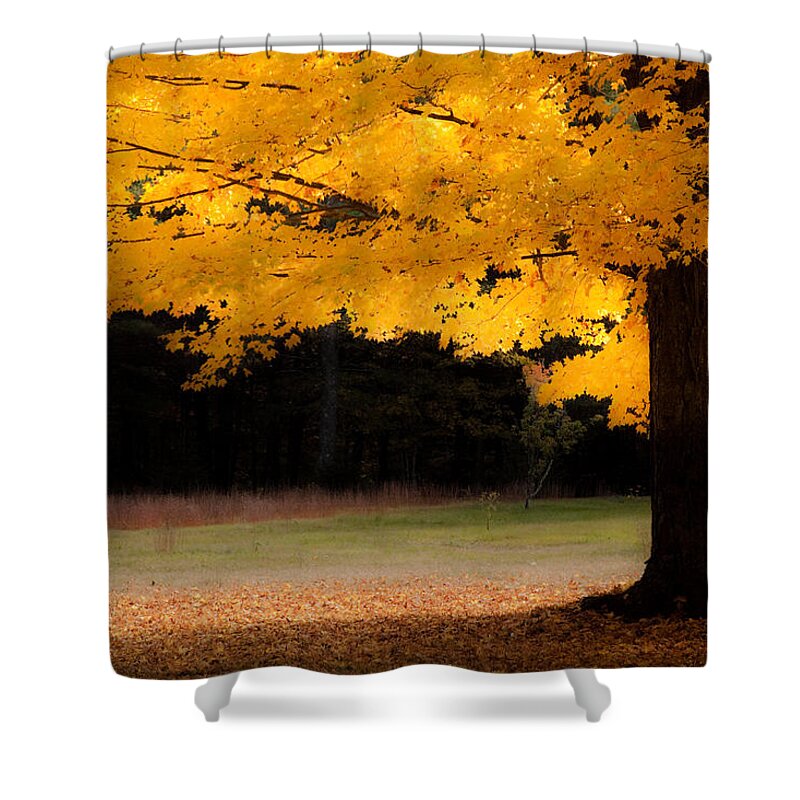 autumn Foliage New England Shower Curtain featuring the photograph Golden glow of autumn fall colors by Jeff Folger