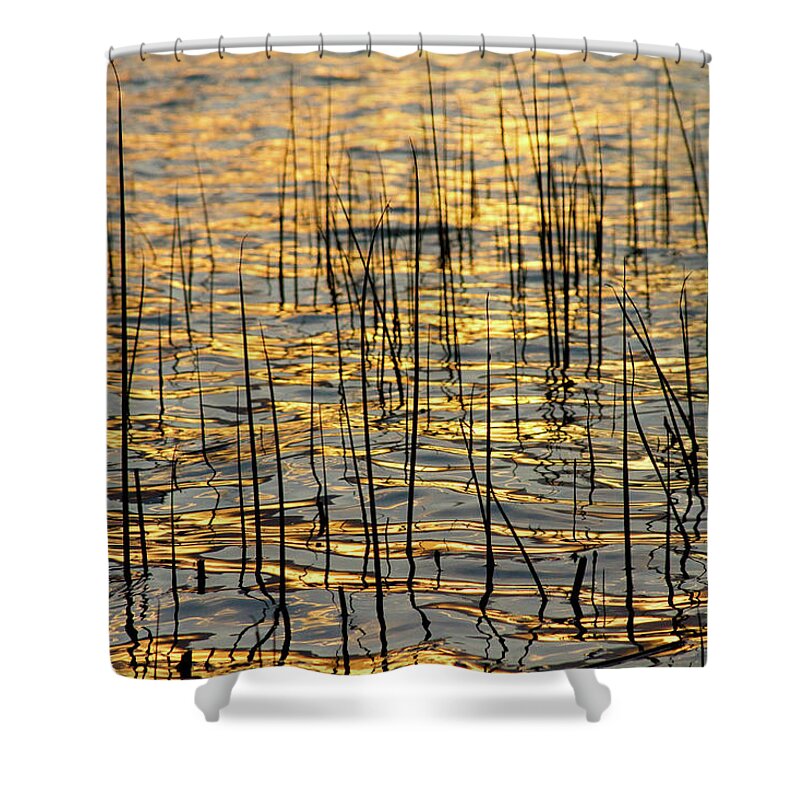 Golden Shower Curtain featuring the photograph Golden Lake Ripples by James BO Insogna