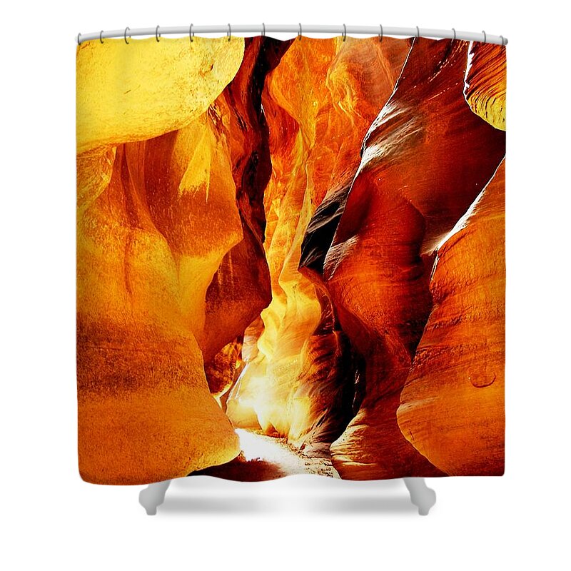 Light Shower Curtain featuring the photograph Golden Light by Tranquil Light Photography
