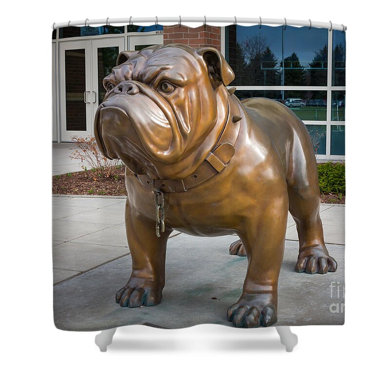 America Shower Curtain featuring the photograph Gonzaga Bulldog by Inge Johnsson