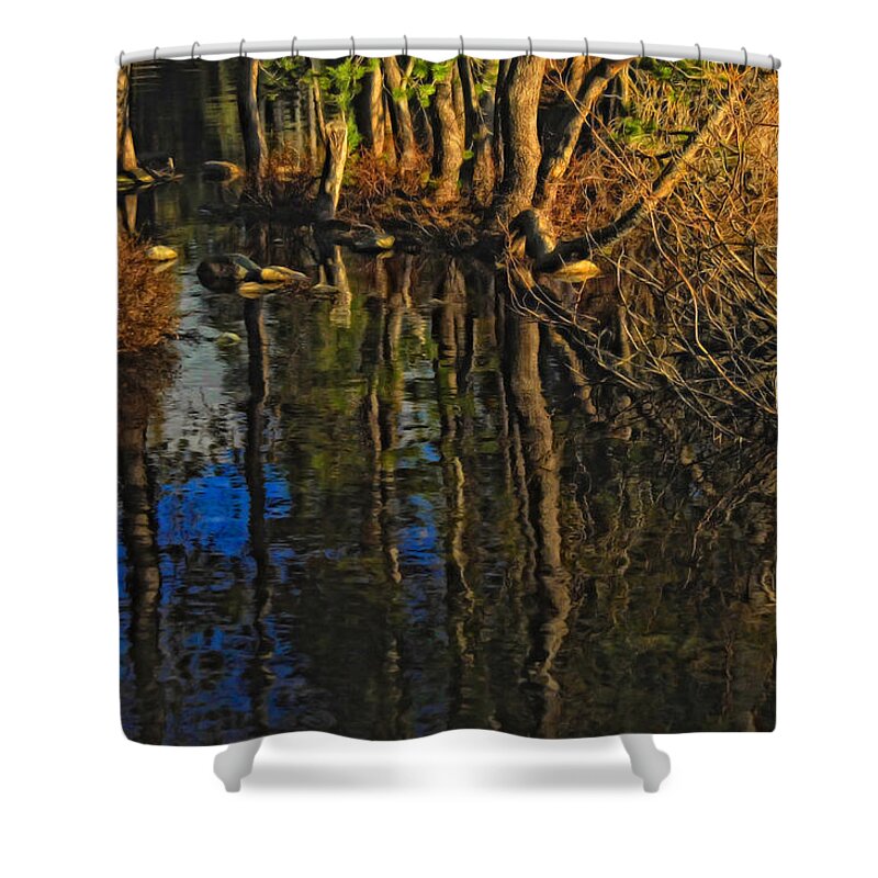 Water Shower Curtain featuring the photograph Goose Lake Autumn by Donna Blackhall