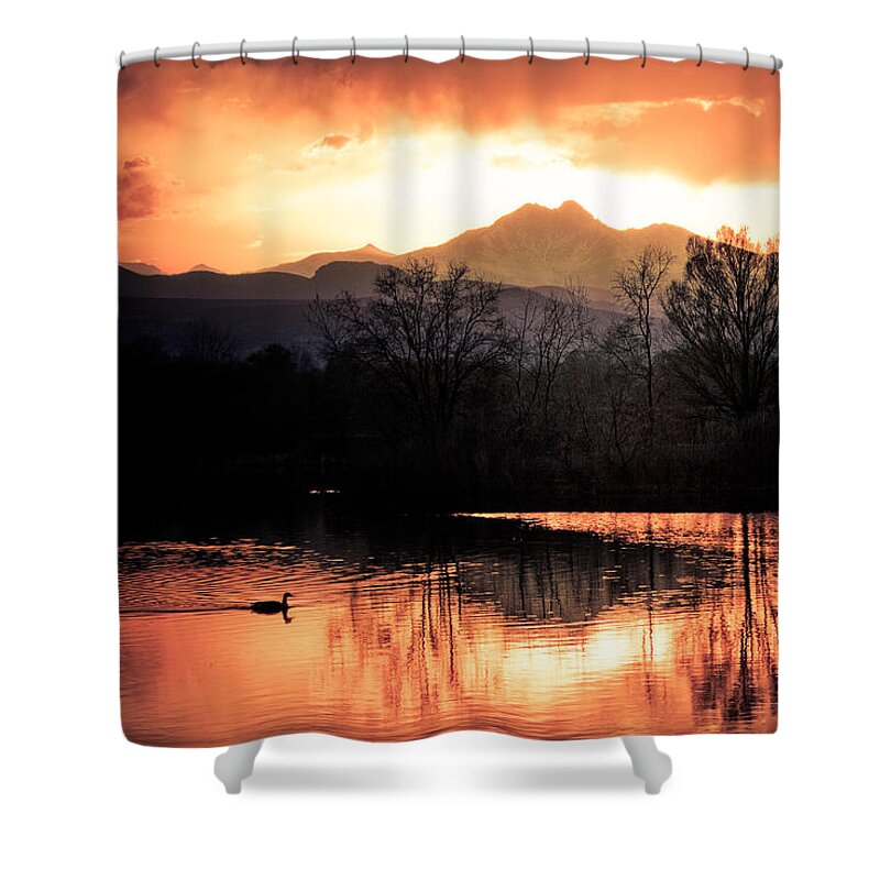 Sunsets Shower Curtain featuring the photograph Goose On Golden Ponds 1 by James BO Insogna