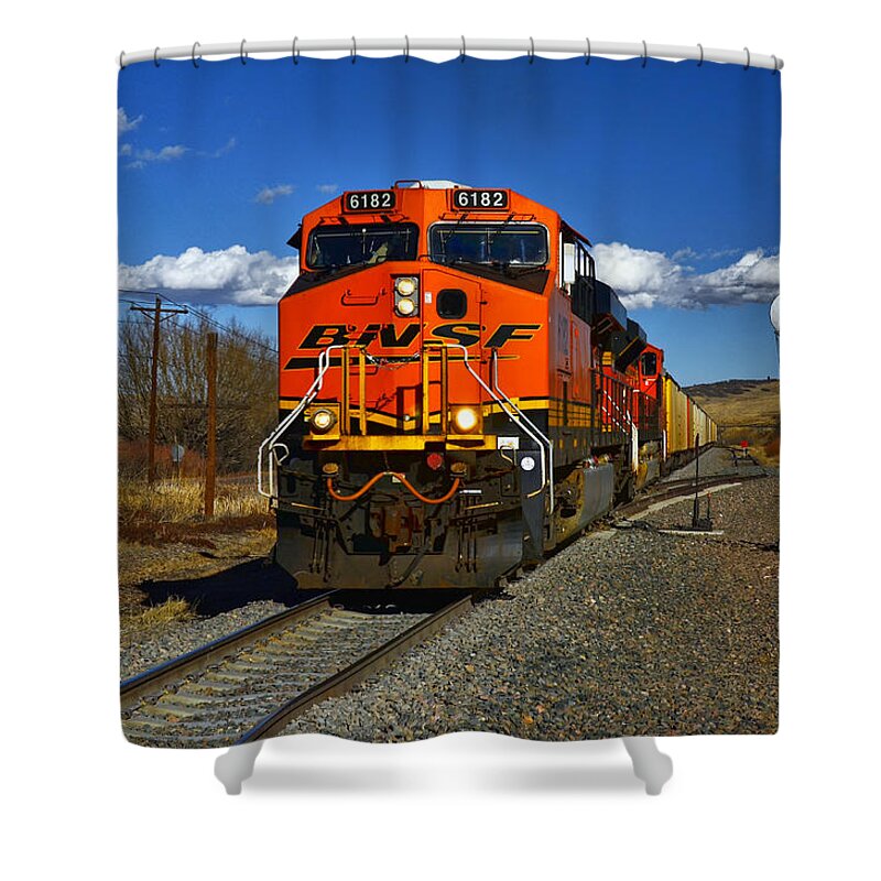 Palmer Lake Shower Curtain featuring the photograph Got the Green Light by Ken Smith