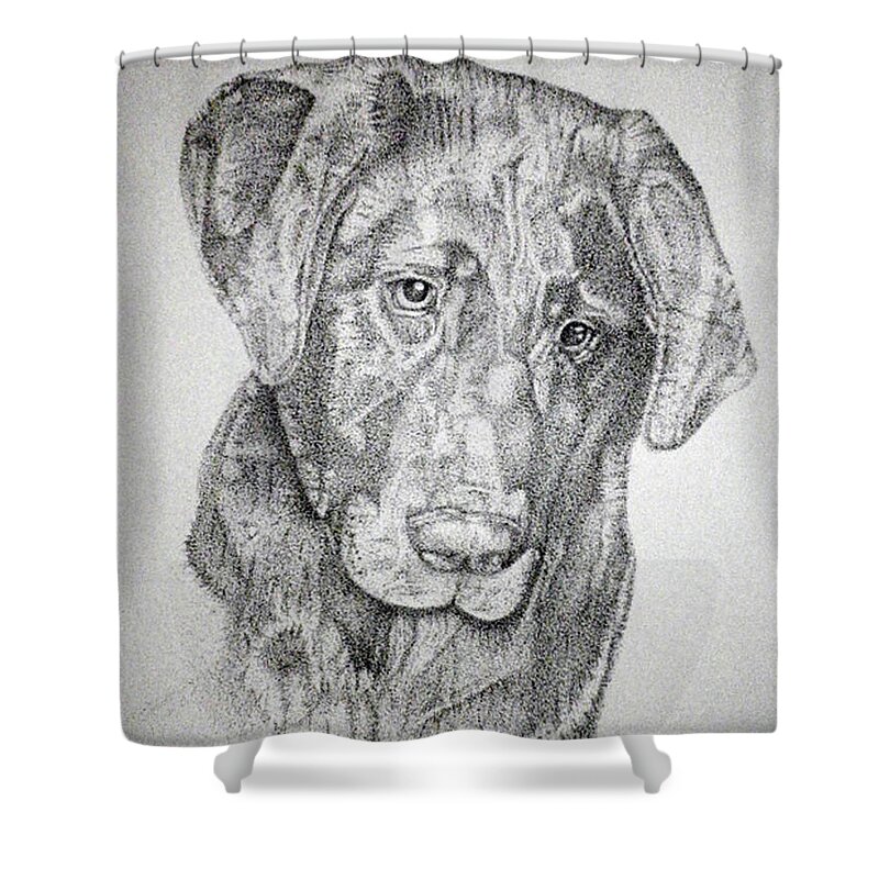 Dog Shower Curtain featuring the drawing Gozar by Mayhem Mediums