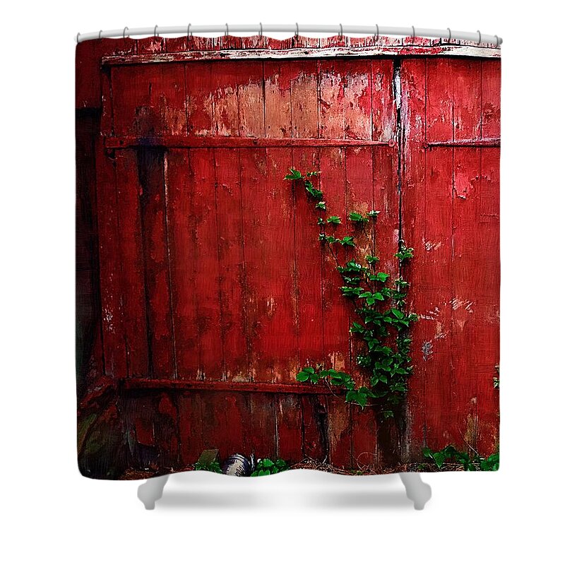 Barn Shower Curtain featuring the painting Graced with Green by RC DeWinter