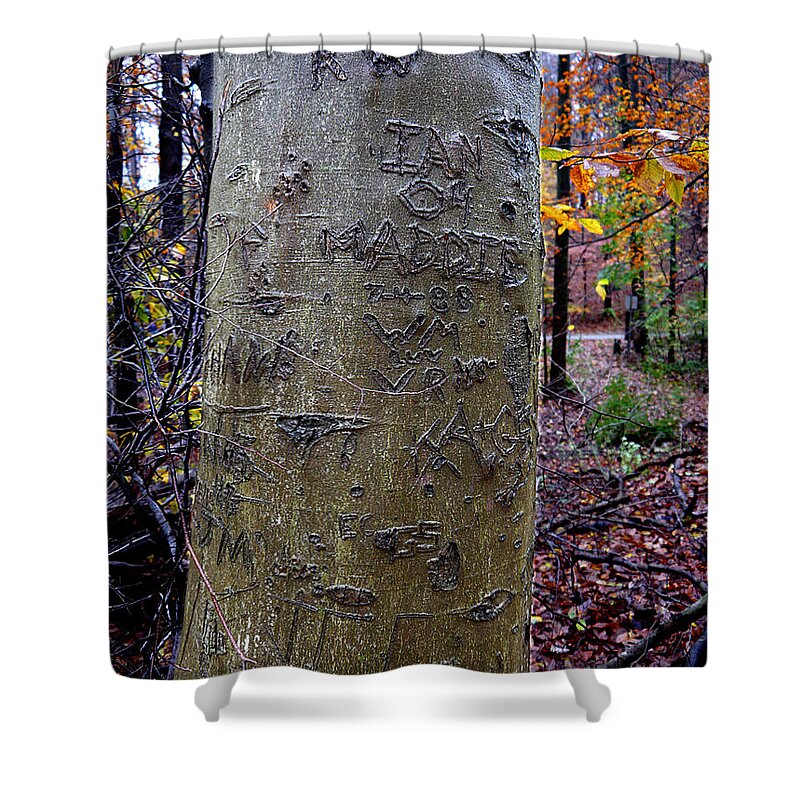 Richard Reeve Shower Curtain featuring the photograph Graffitree by Richard Reeve