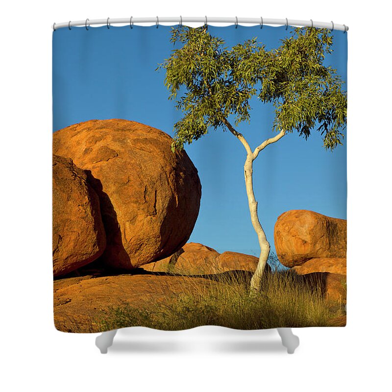 00477478 Shower Curtain featuring the photograph Trees and Devils Marbles by Yva Momatiuk John Eastcott
