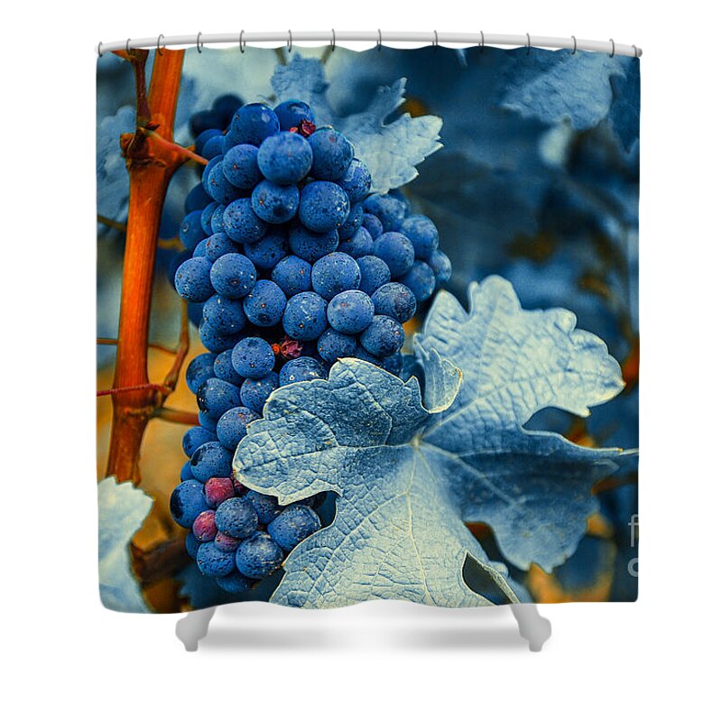 Blue Shower Curtain featuring the photograph Grapes - Blue by Hannes Cmarits