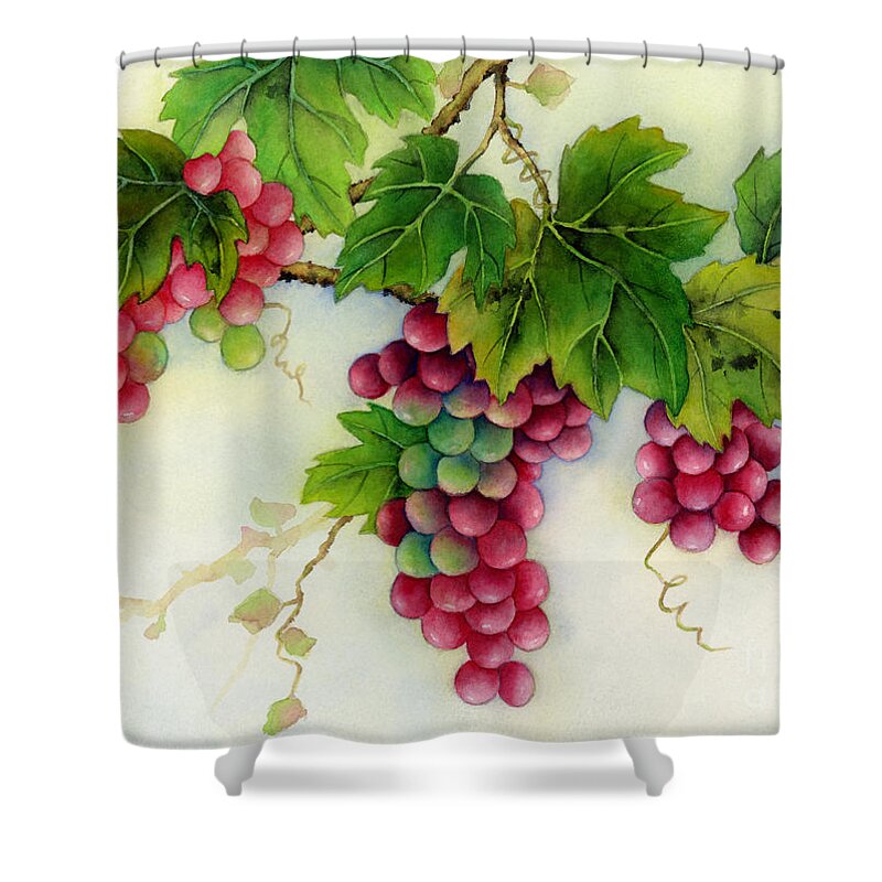 Grapes Shower Curtain featuring the painting Grapes by Hailey E Herrera