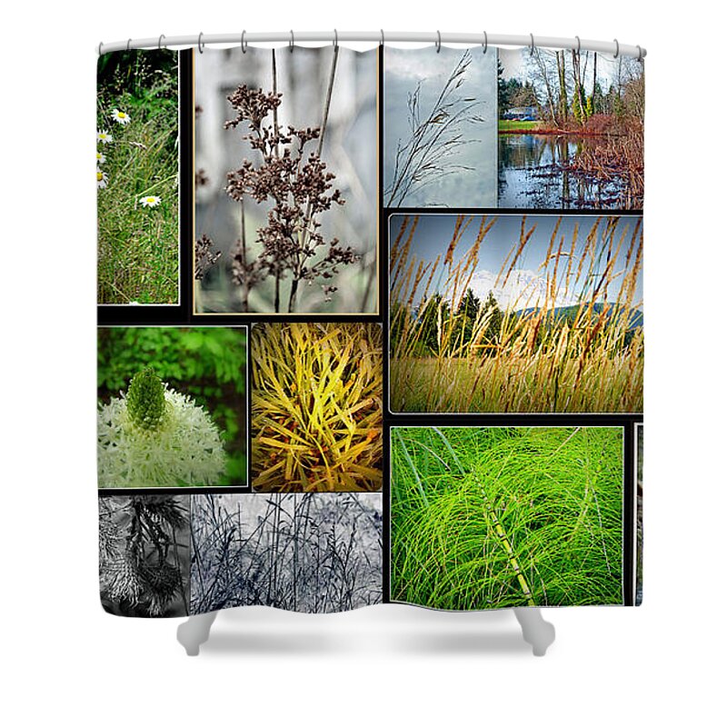 Grass Collage Variety Shower Curtain featuring the photograph Grass Collage Variety by Tikvah's Hope