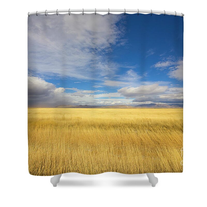 00431182 Shower Curtain featuring the photograph Klamath Basin Grasses And Clouds by Yva Momatiuk John Eastcott