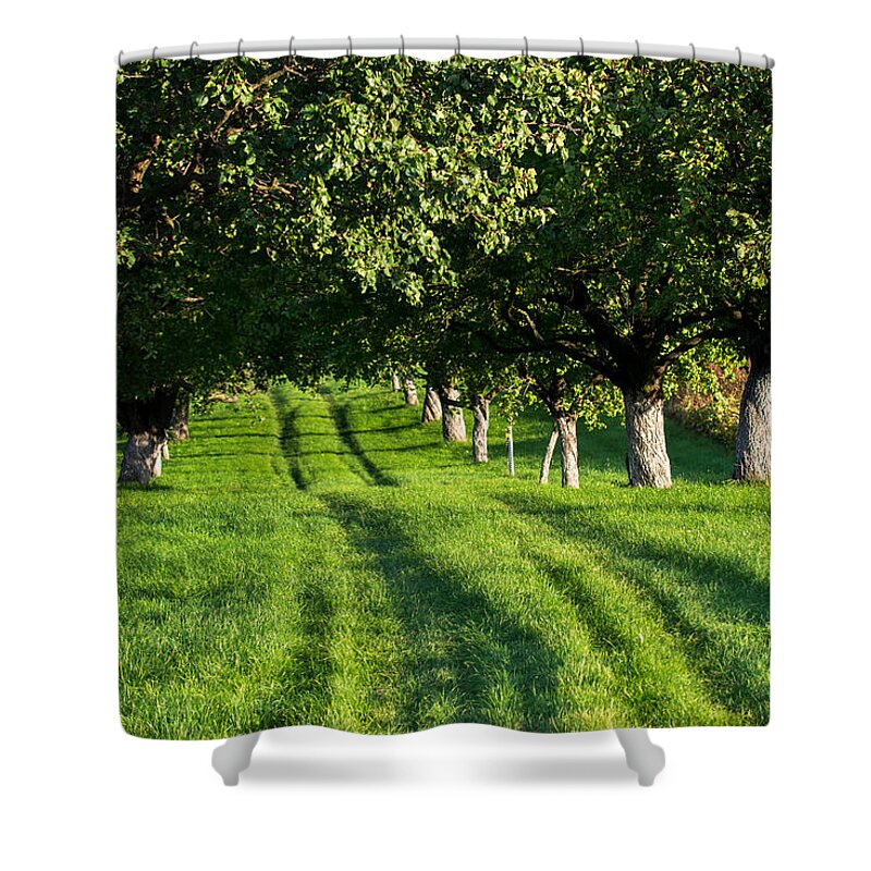 Alley Shower Curtain featuring the photograph Grassy Street Through Alley by Andreas Berthold