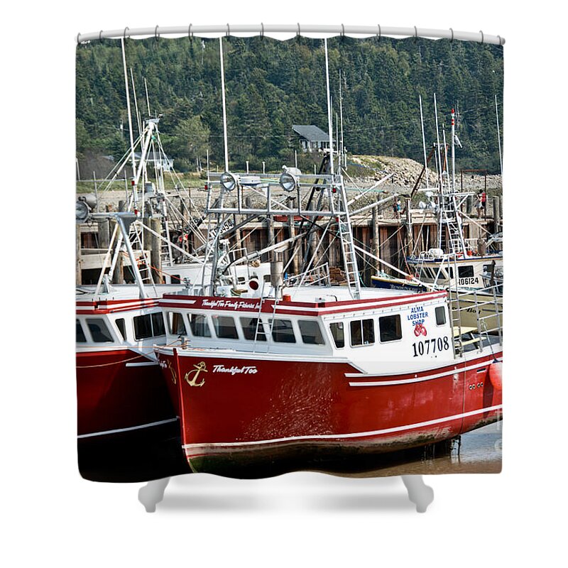 Shower Curtain featuring the photograph Grateful One Thankful Too by Cheryl Baxter