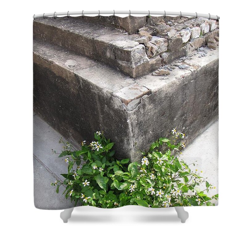 Cemetery Shower Curtain featuring the photograph Grave III by Beth Vincent