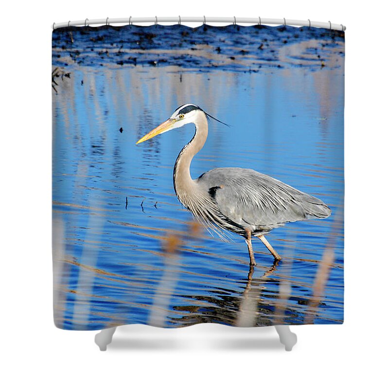Great Blue Heron Shower Curtain featuring the photograph Great Blue Heron by Crystal Wightman