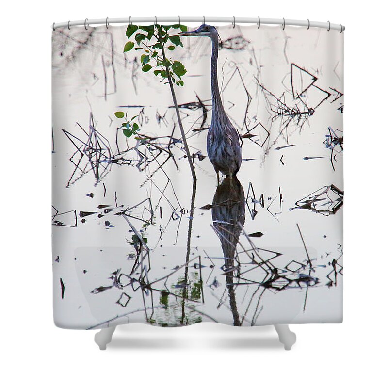 Great Blue Heron Reflecting Shower Curtain featuring the photograph Great Blue Heron Reflecting by PJQandFriends Photography