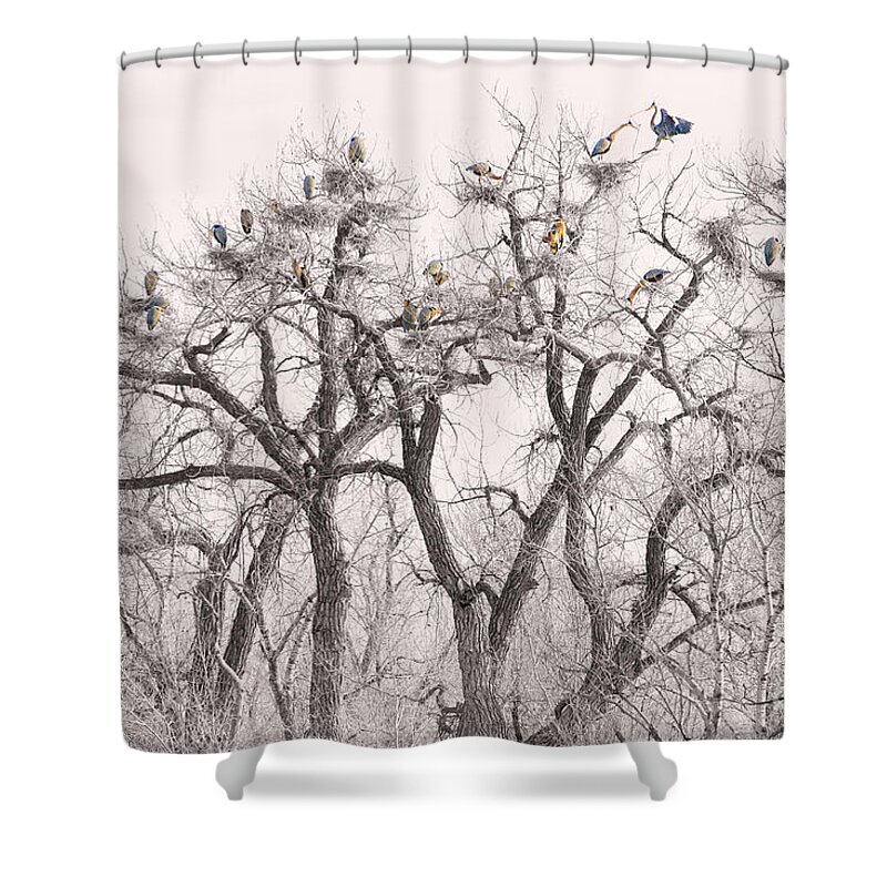 Animals Shower Curtain featuring the photograph Great Blue Herons Colonies by James BO Insogna